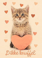 Liefde kaart kat met hart en dikke knuffel